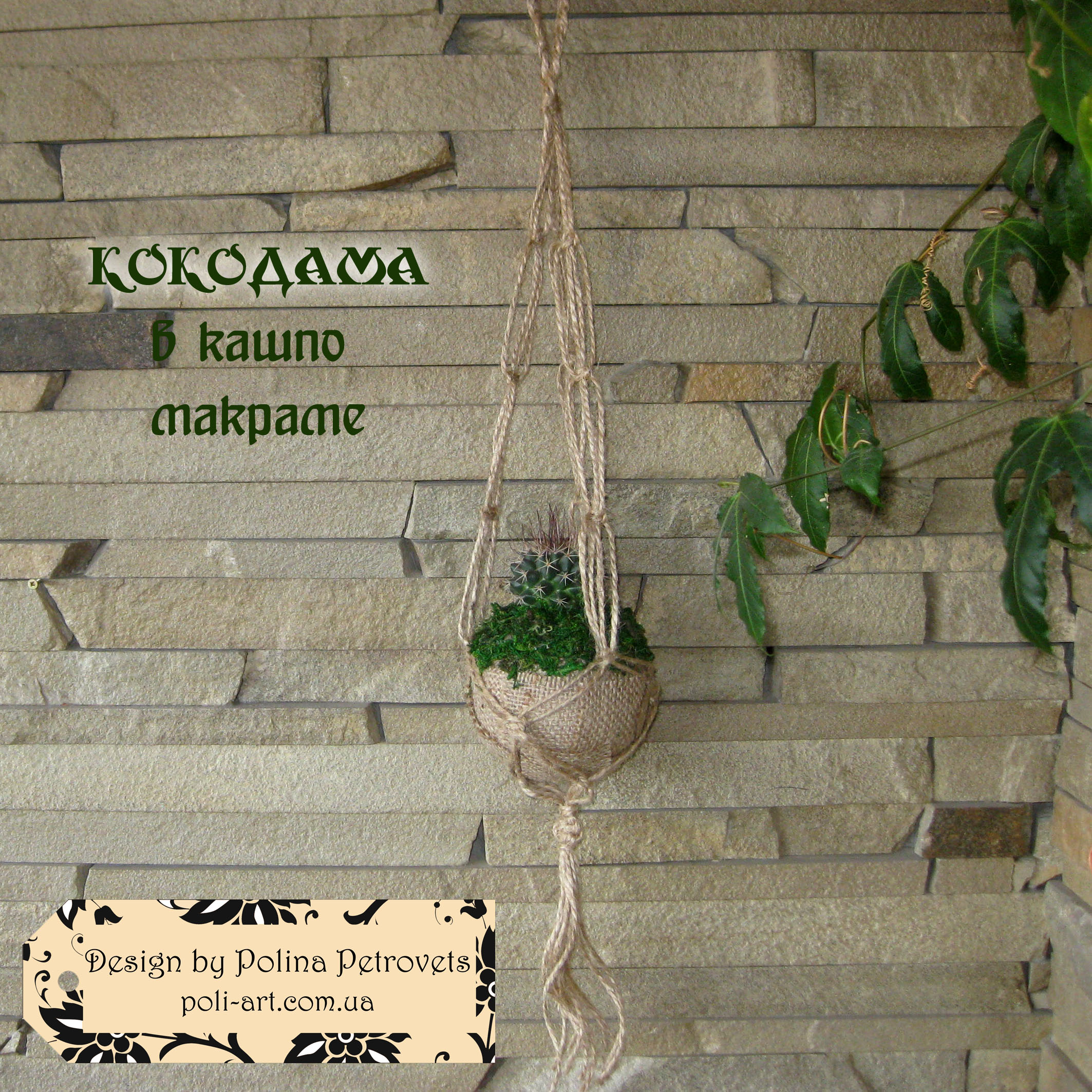 Кокодама в кашпо макраме